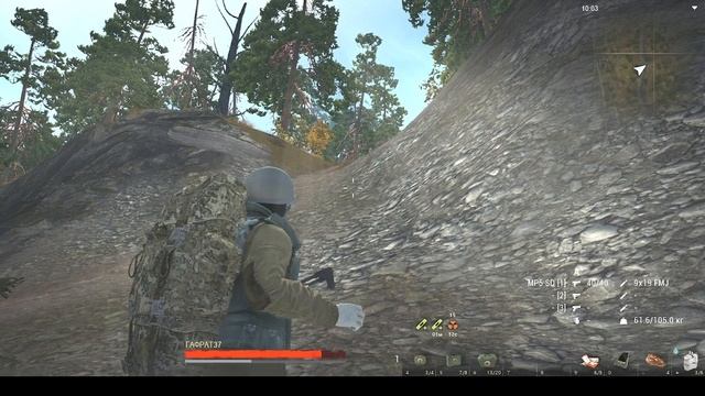 Stalker Online линейка заданий от капюшона # где искать белуху .