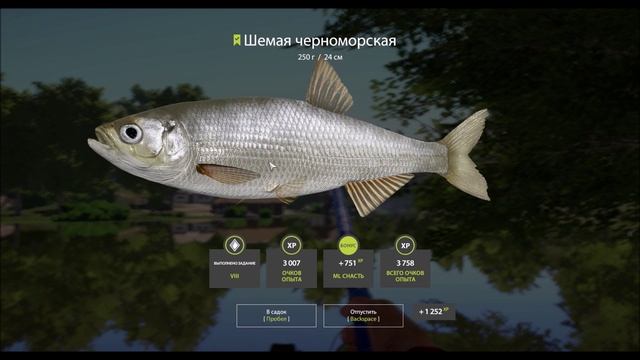 Шемая 250 грамм, река Северский Донец, выполнение юбилейного задания в игре Русская рыбалка 4