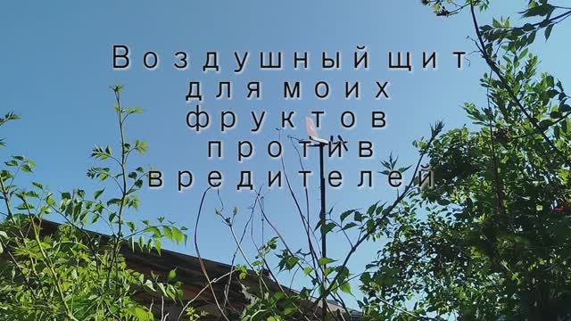 ПВО для усадьбы)