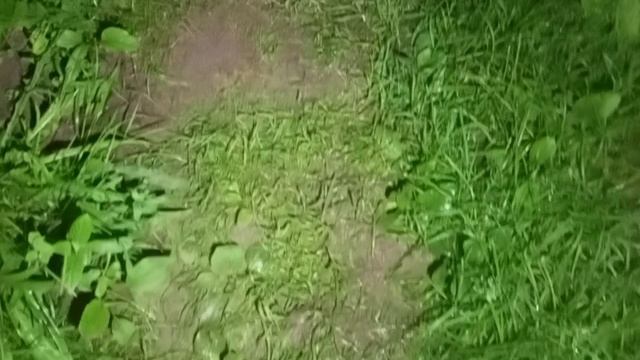 Перед сном 🪱🐛 /Никого не нашла