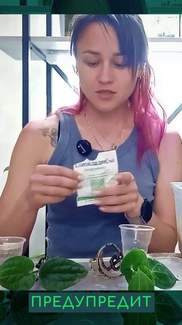 Знаете как адаптировать покупные, голландские, тайские и другие растения?