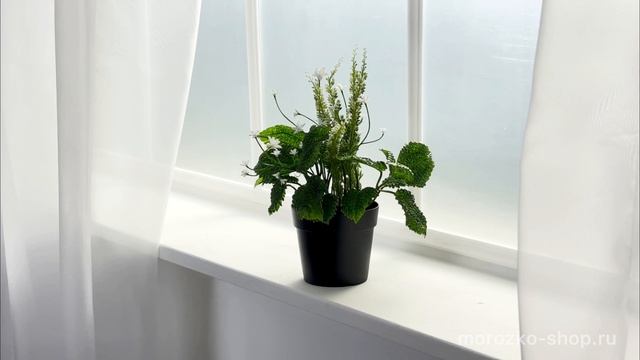 Искусственное растение в горшке ЗВЁЗДОЧКИ В ТРАВЕ, 24 см, 5010066