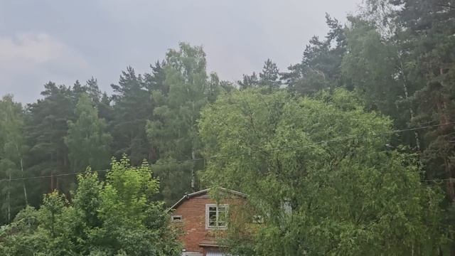 ЧТО ВИДИТ СЛЕПОЙ ГЛАЗ...