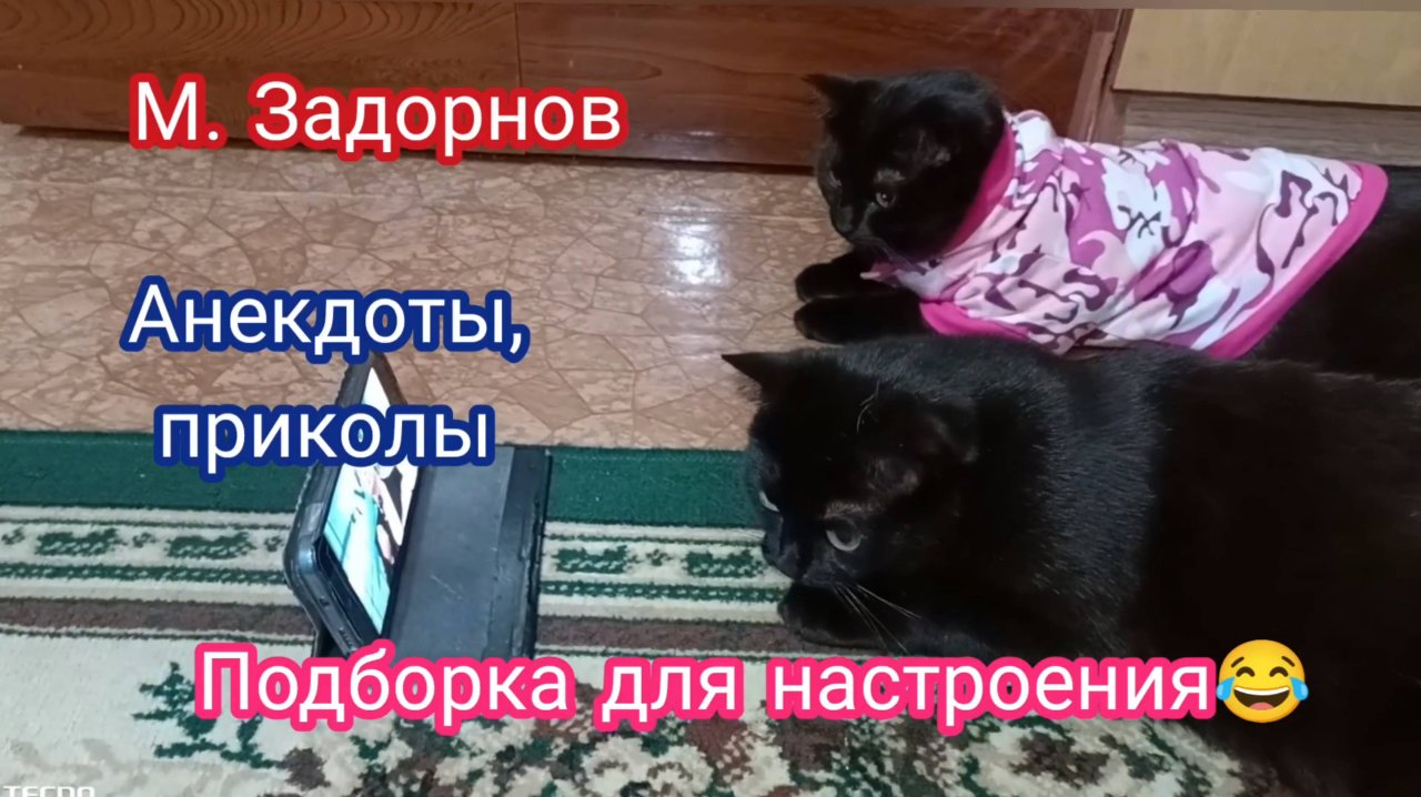 Смех до слёз.