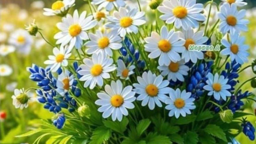 СП " А лето цвета 3 ! с Людмилой Красноперовой. Отчет №2.Участник №53