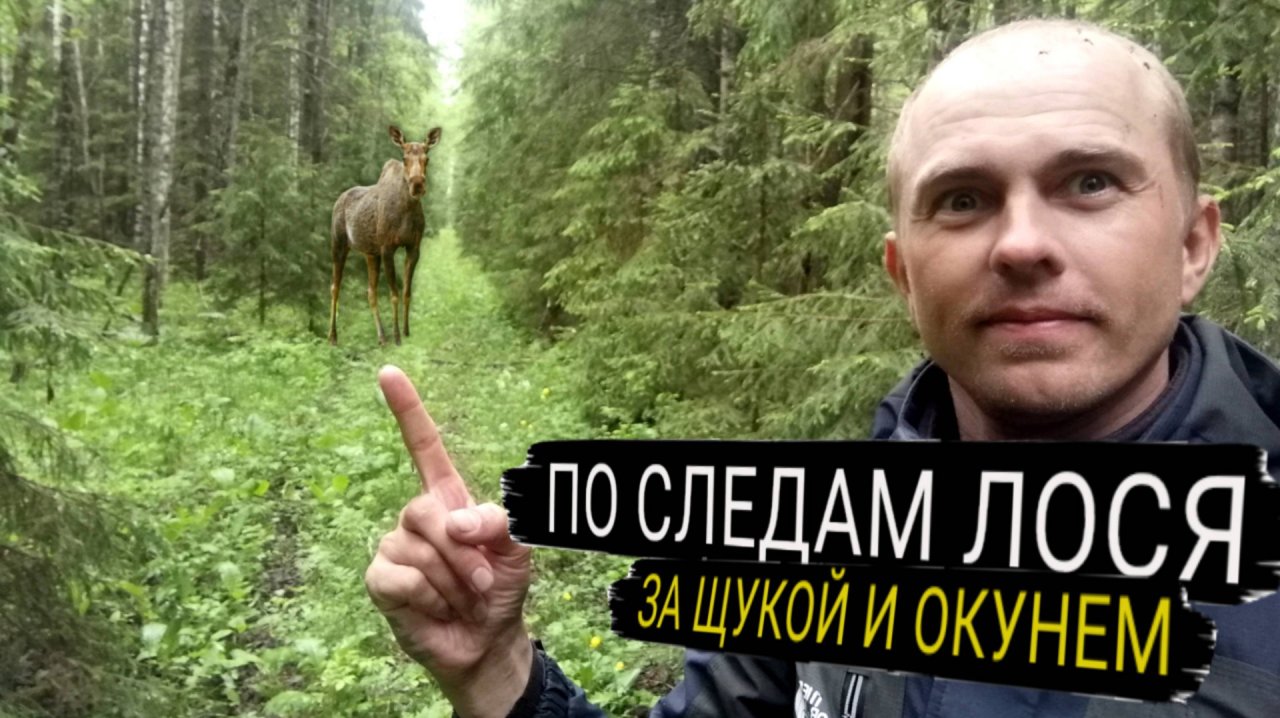 На рыбалку в след за лосем. Одна блесна на всю рыбу.