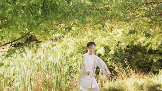 Цигун - White Crane Qigong Frolics - 2 - About YMAA Courses