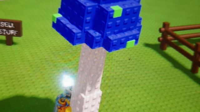 ГРИБ ИЗ ВЫРАСТИ САД