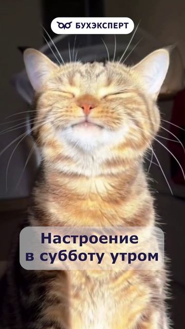 Настроение в субботу утром #бухюмор