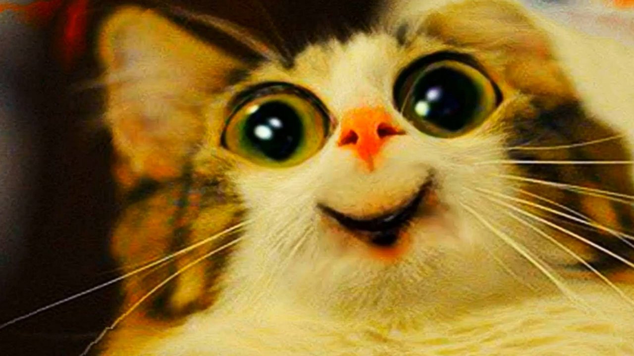 😹СМЕШНО ДО СЛЁЗ ▶ Самые смешные Кошки и Коты🔥