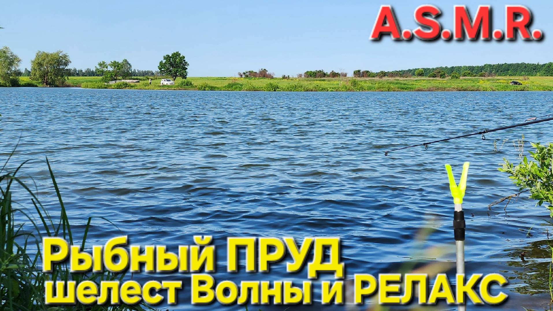 🔥Очень красивый ПРУД в формате - 4К🔥 ASMR: шелест Волны, Соловьи и КАЙФ. Июнь-2025 !!!