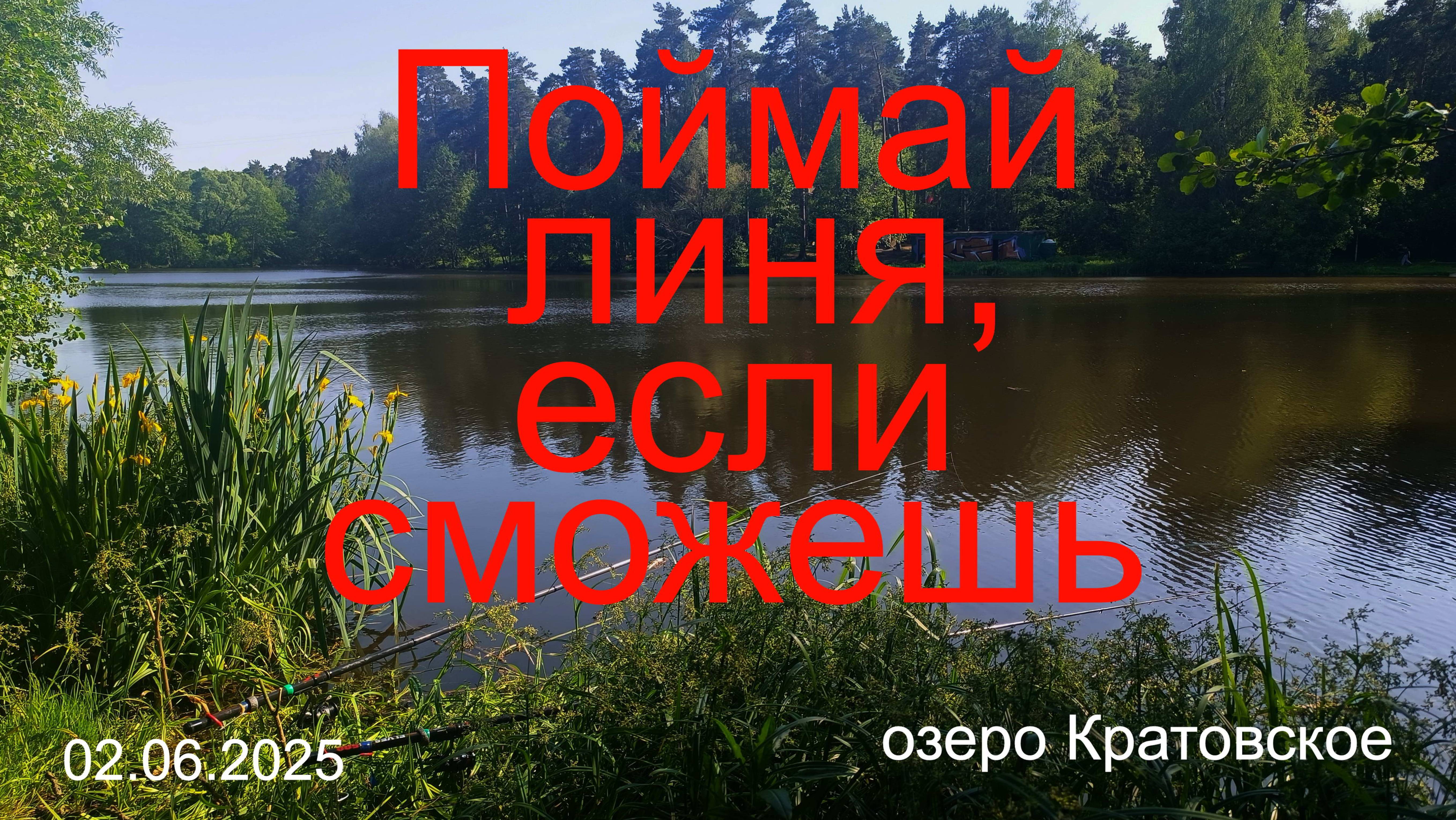 Поймай линя если сможешь. 02.06.2025. Озеро Кратовское.