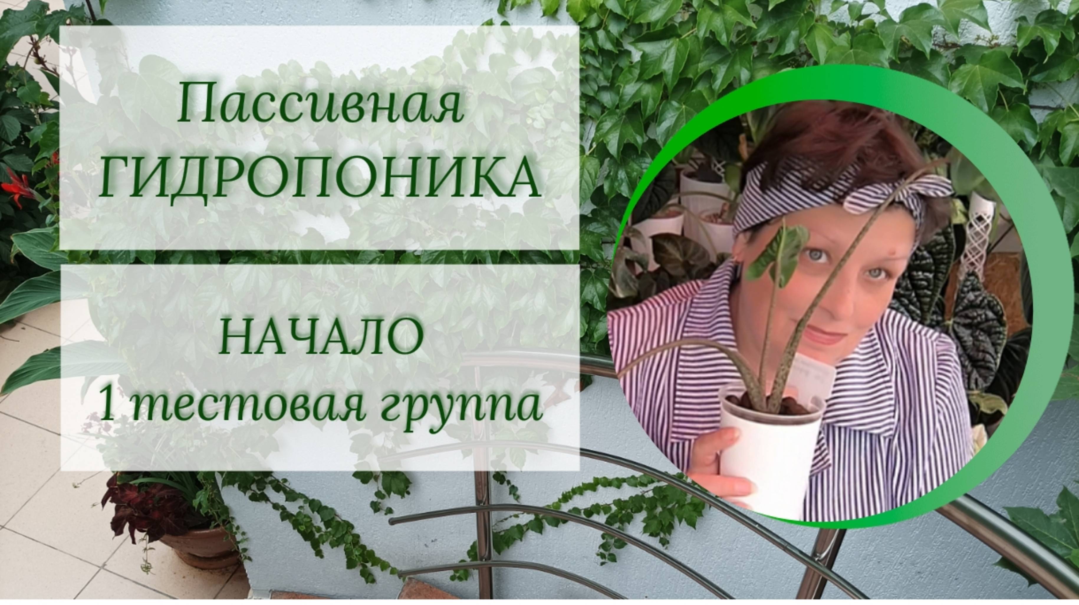 Пассивная гидропоника. НАЧАЛО. 1 тестовая группа. Субстрат, пересадка, полив.