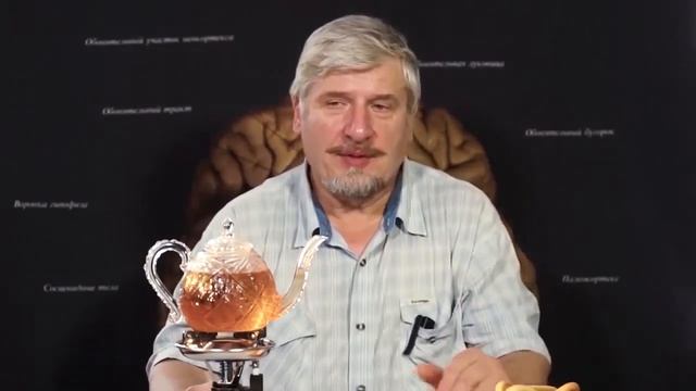 Люди довольно странные существа