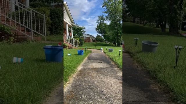 Мою садовую дорожку щеткой