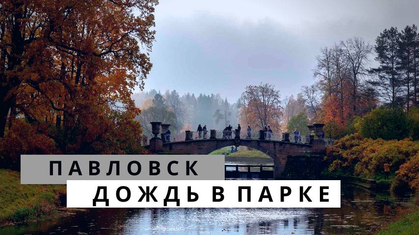 Осень в Павловске. Дождь в Павловском парке