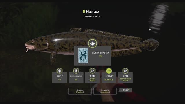 Налим 7,065 кг, река Северский Донец, выполнение юбилейного задания, игра Русская рыбалка 4