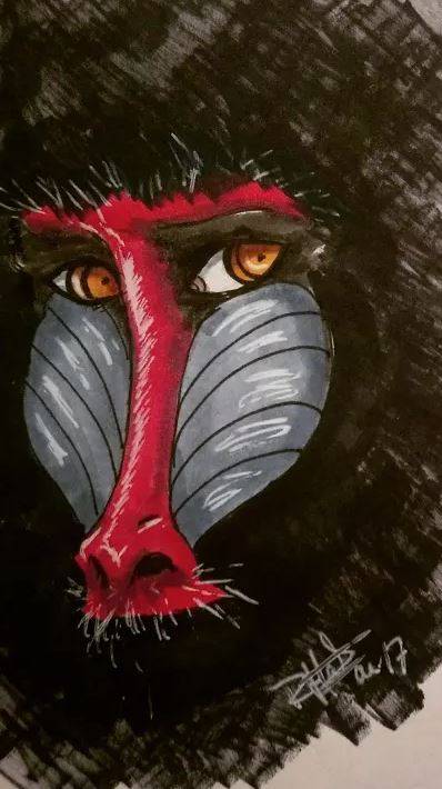 Смущённый Павиан 🦍