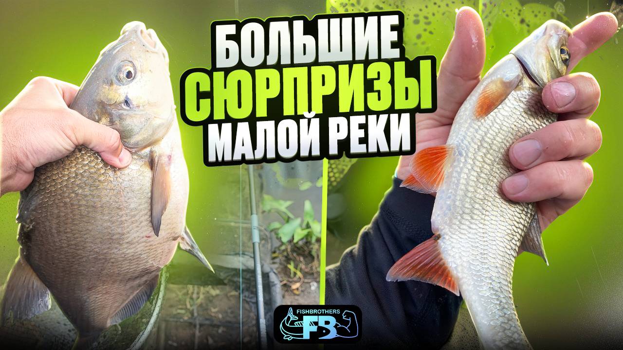 Половили рыбу на малой реке! Фидер против поплавка.