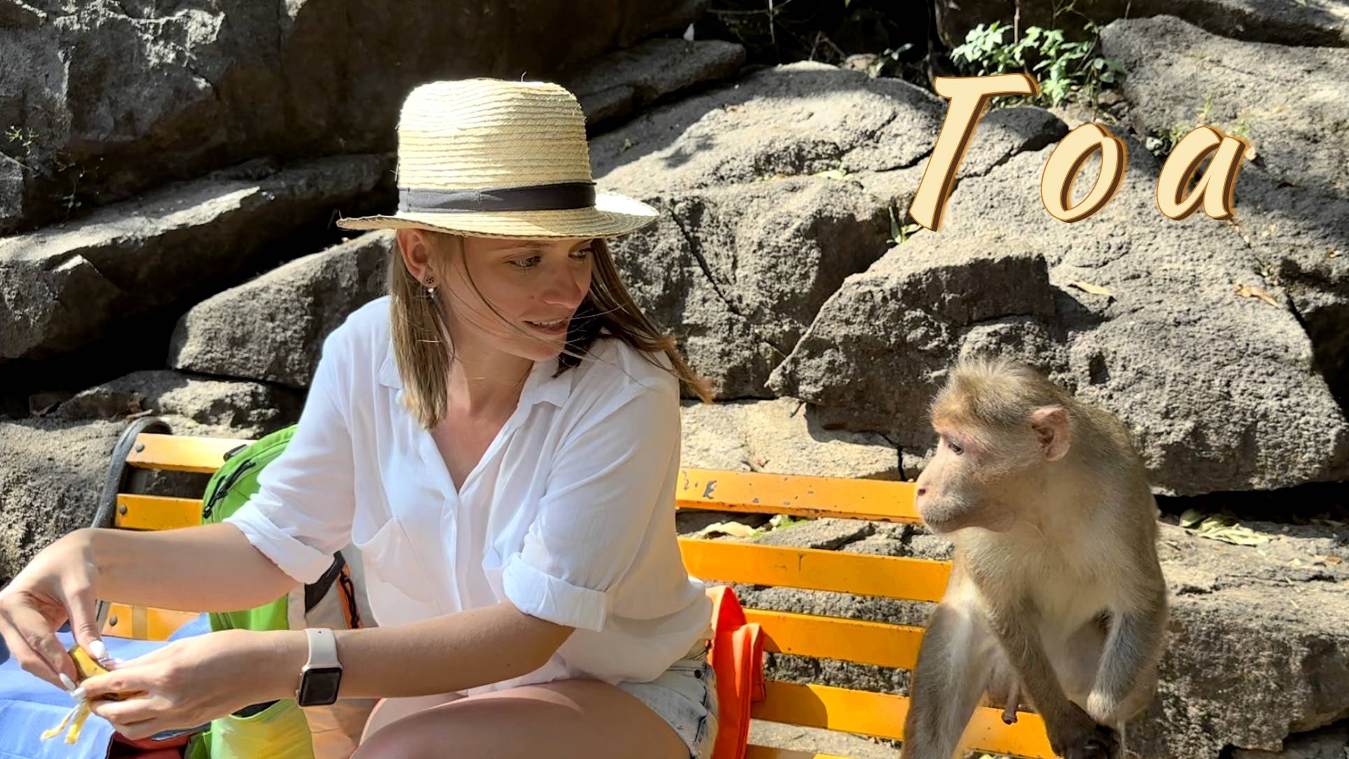 Обезьяны нападают на туристов на Гоа, экскурсия на водопады