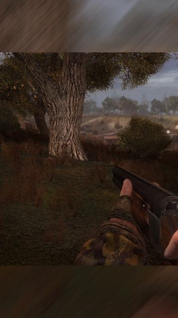 РАСКУСИЛ | СТАЛКЕР ВОЗВРАЩЕНИЕ В ЗОНУ