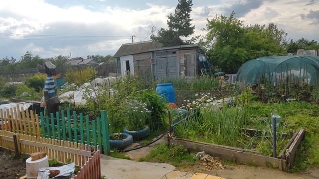 Приготовила обед и поехала на дачу // Дождь не дал поработать