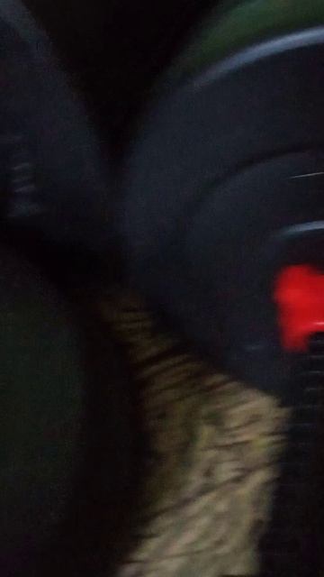 Пситеррор ломают спортинвентарь когда нет дома портят одежду и т д