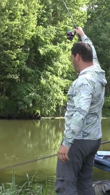 Трофейная рыба на фидер на реке!