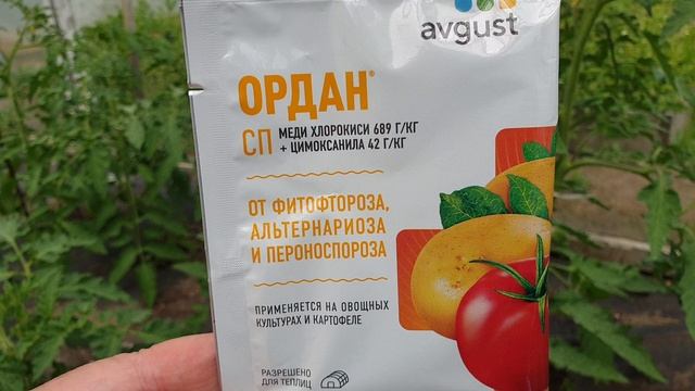 Грунтовые томаты. Незаменимое лекарство от болезней томатов.