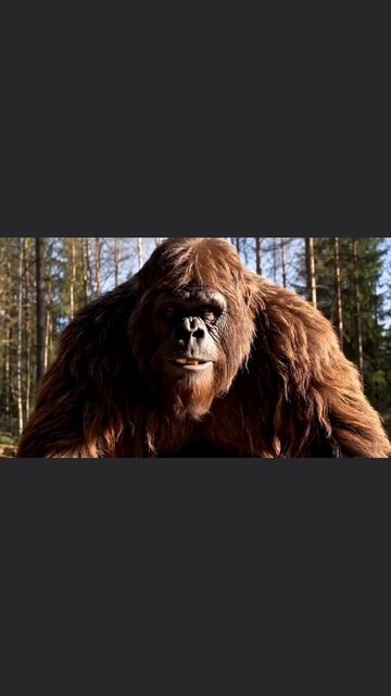 РЕЦЕПТ ПИЦЦЫ 🍕 ПО ЛЕСНОМУ ОТ СНЕЖНОГО ЧЕЛОВЕКА В ЛЕСУ 🌳VEO 3