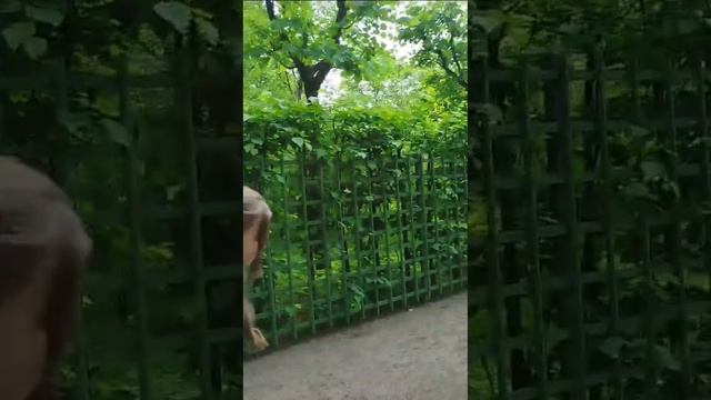 Скульптуры в Летнем саду Санкт-Петербурга.