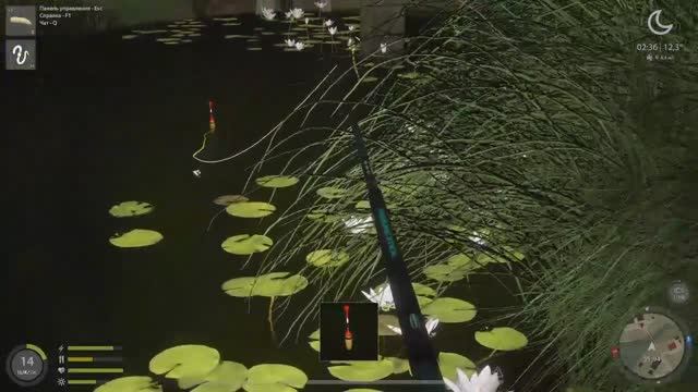 Стрим в честь моего дня рождения