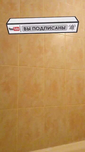 Амстаффа Трейси облили водой из лужи