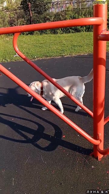 Компания в сборе