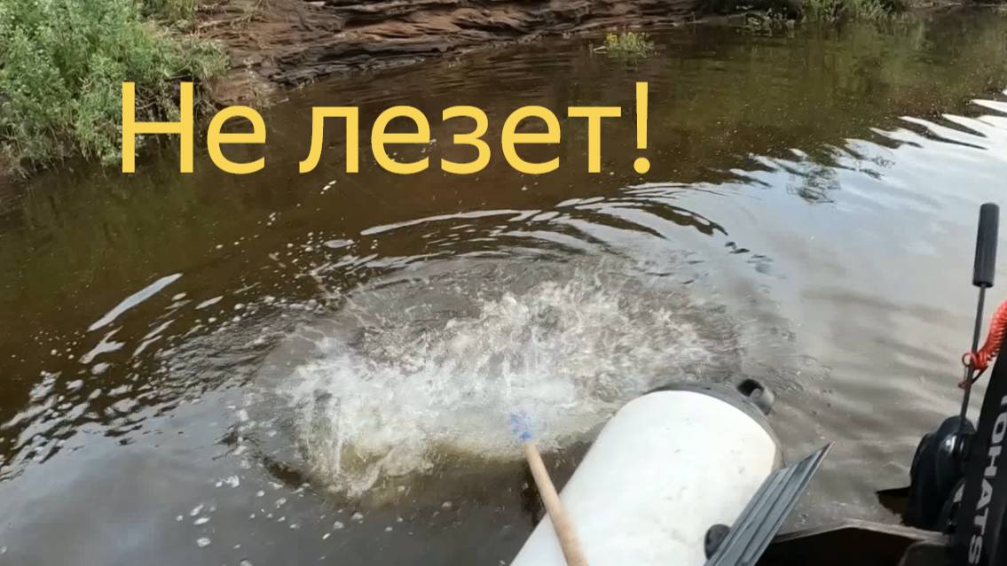 Рыбалка на Вятке за народным памятником вятской навигации. Трофей никак не лезет в сачок.