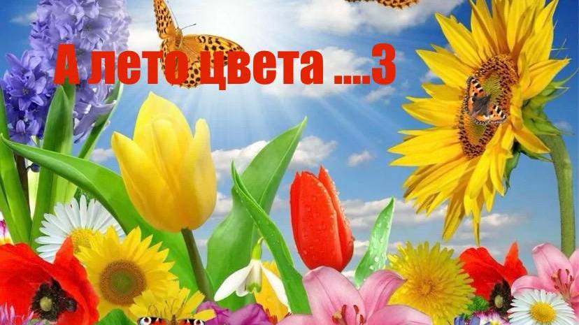А ЛЕТО ЦВЕТА ....3 Отчёт №2