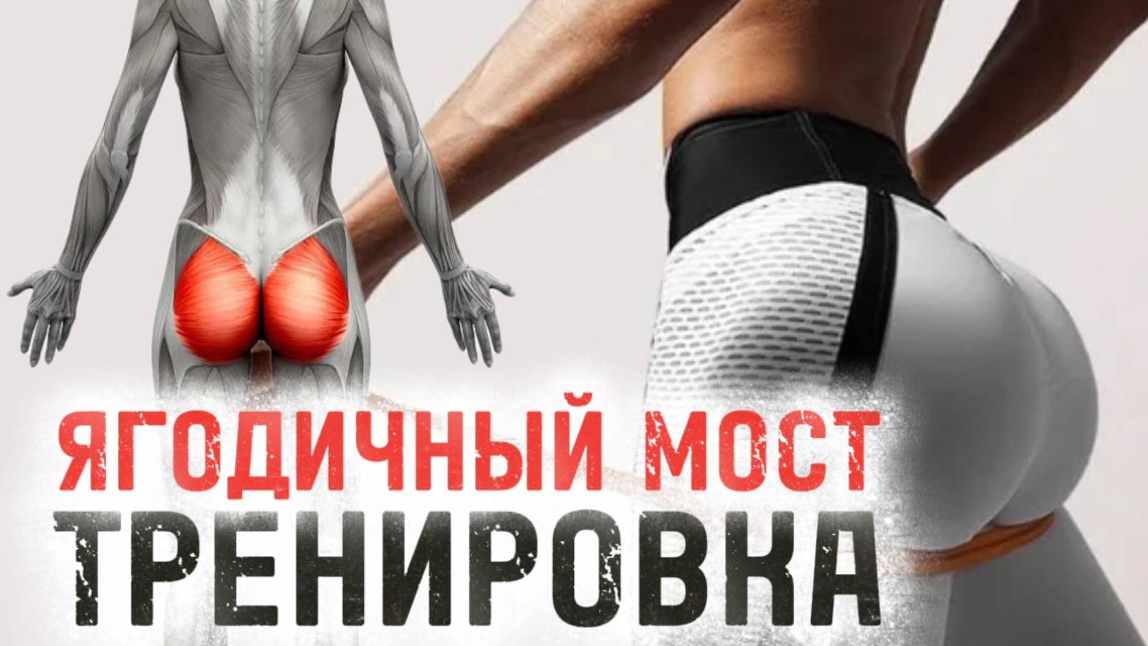 Ягодицы. Как накачать КЛАССНУЮ ПОПУ. Ягодичный мост.