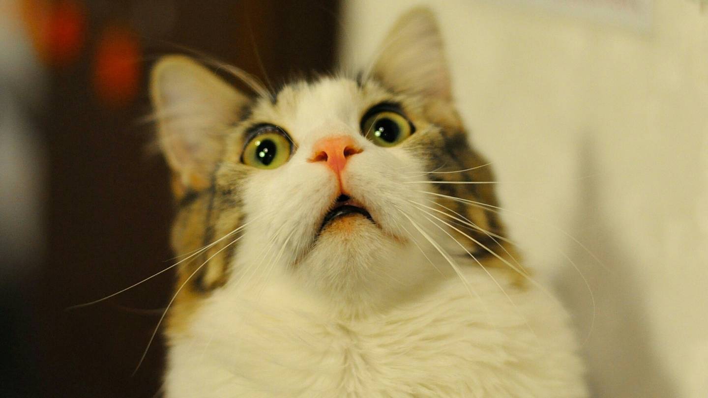 World of Warplanes: А я хорош!!! :)