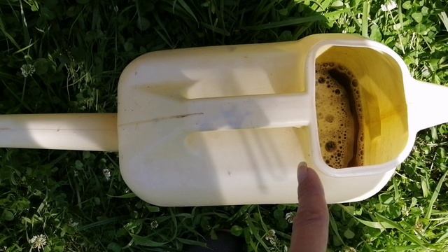 Обработка клубники био препаратами от гниения. Органическое земледелие.