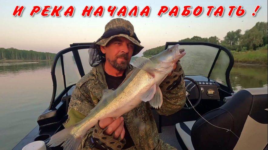 И РЕКА ЗАРАБОТАЛА !!! Рыбалка на Оби 17 июня 2025г.