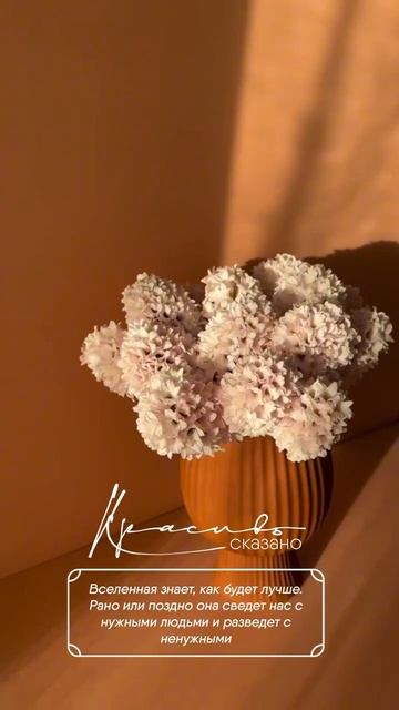 #красивосказано