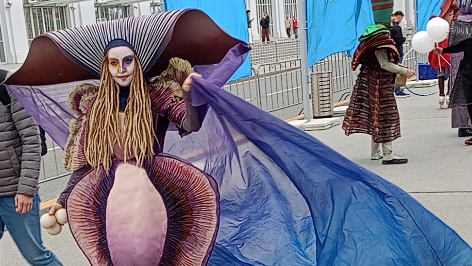 Аниматоры, выступление, Москва