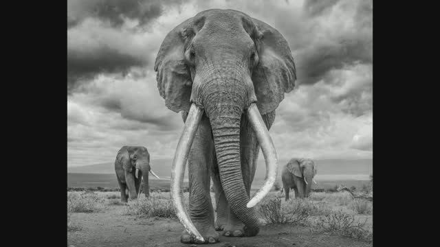 Об итогах MonoVisions Photography Awards 2023. Архив  1 часть