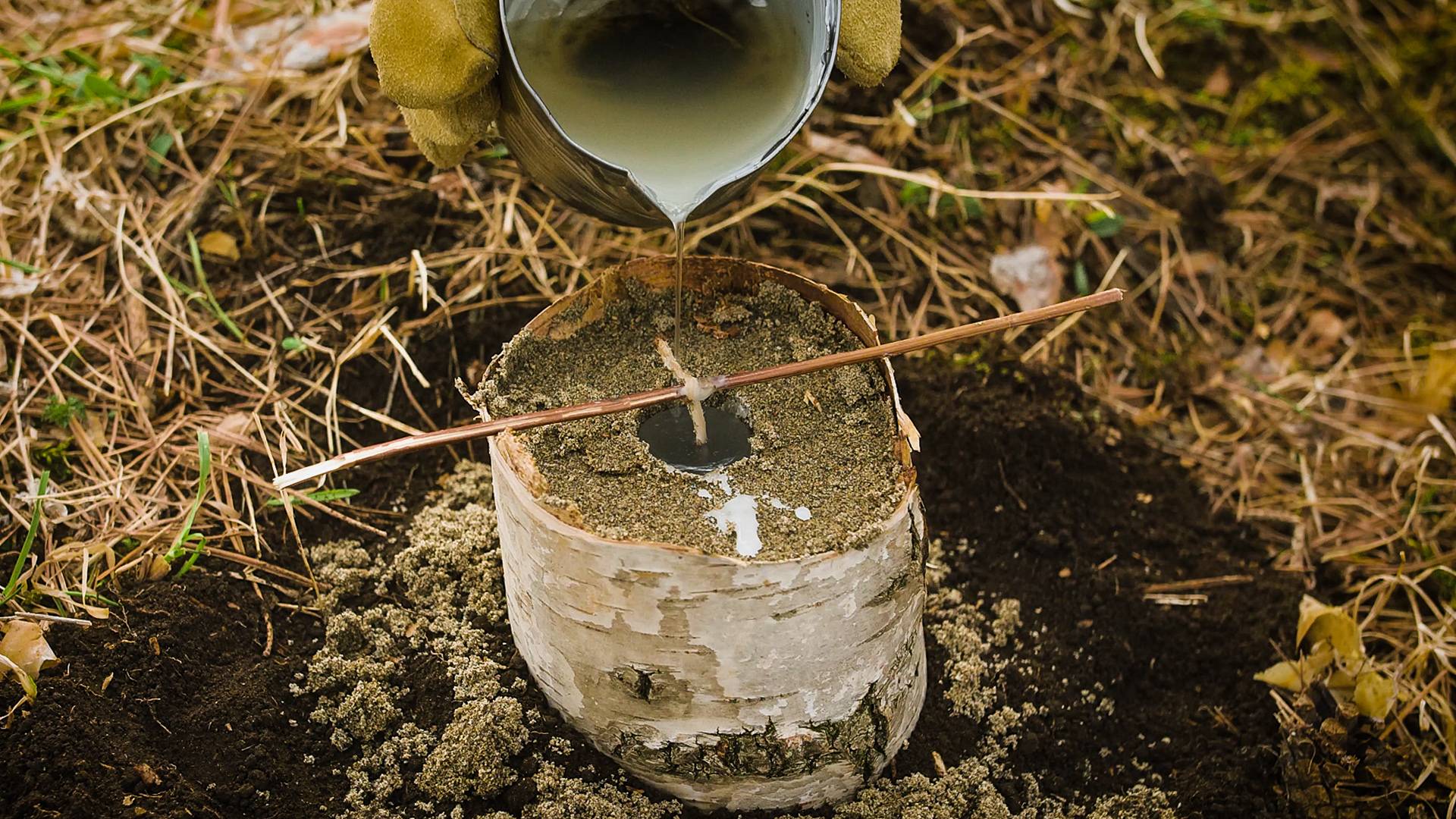 Сделал классную свечу из подручных средств в лесу!