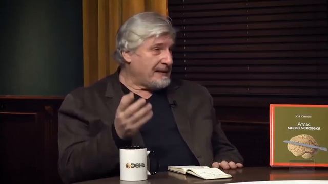 Могут ли животные говорить и сочувствовать