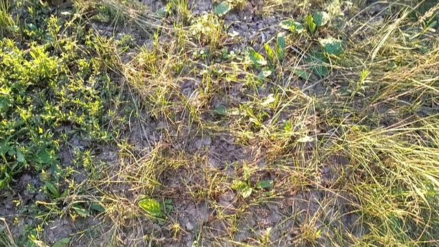 Вдохновляющая Природа🥰