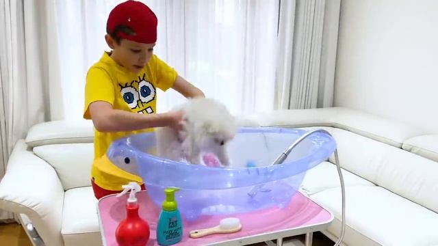 Miss Katy|Мисс Кэти Катя и Макс их питомцы