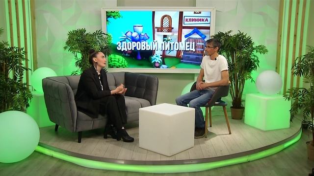 Здоровый питомец, 23.06.2025