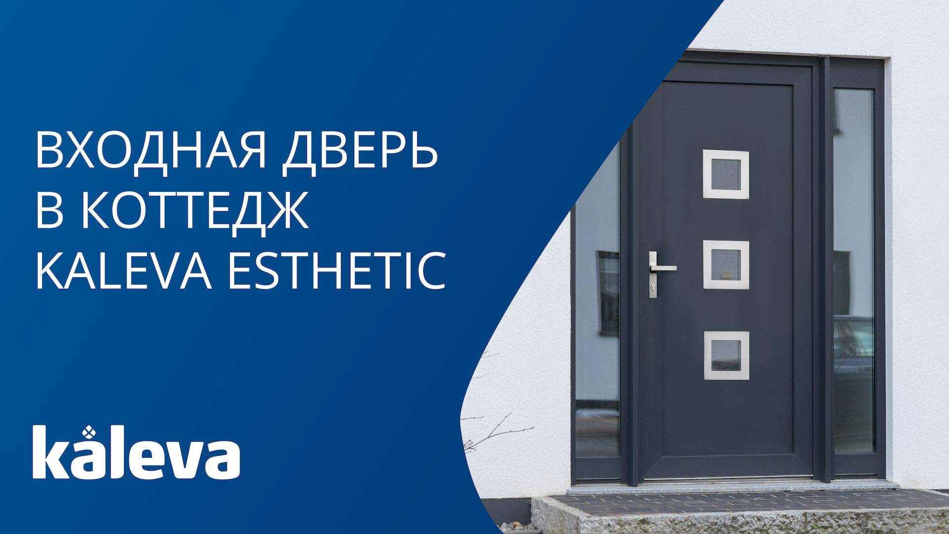 Входные двери в коттедж KALEVA Esthetic – подробный обзор | Входная система в частный дом