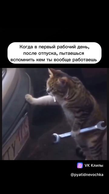 Первый день после отпуска...